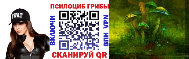 Купить  Светлогорск  Галлюциногенные грибы GOLDEN TEACHER 